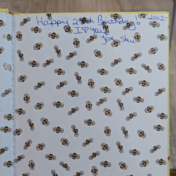 SISTERS AT HEART- Melody Carlson Sweet Stories Affirmations- Journal Book - Picture 2 of 15